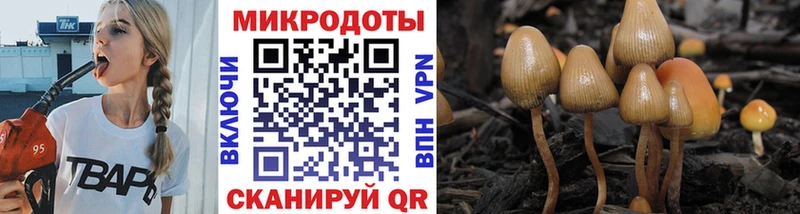 Псилоцибиновые грибы Psilocybe  Переславль-Залесский 