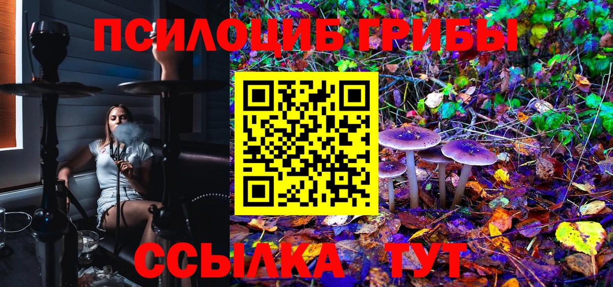 Галлюциногенные грибы GOLDEN TEACHER Переславль-Залесский