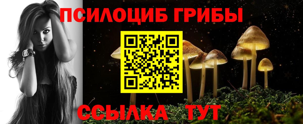 Галлюциногенные грибы Magic Shrooms  Переславль-Залесский 