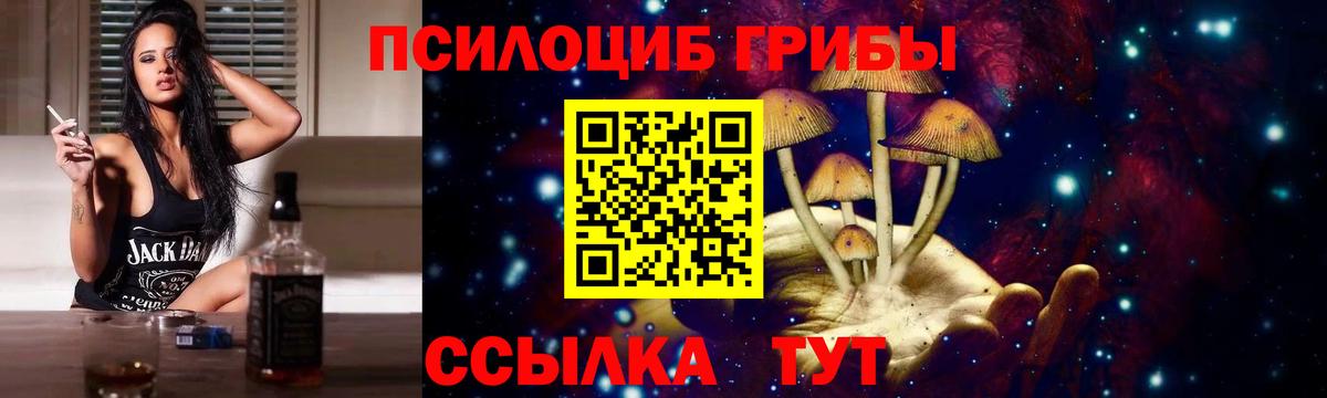 Галлюциногенные грибы GOLDEN TEACHER  Псилоцибиновые грибы Cubensis  Переславль-Залесский  Вход с VPN 